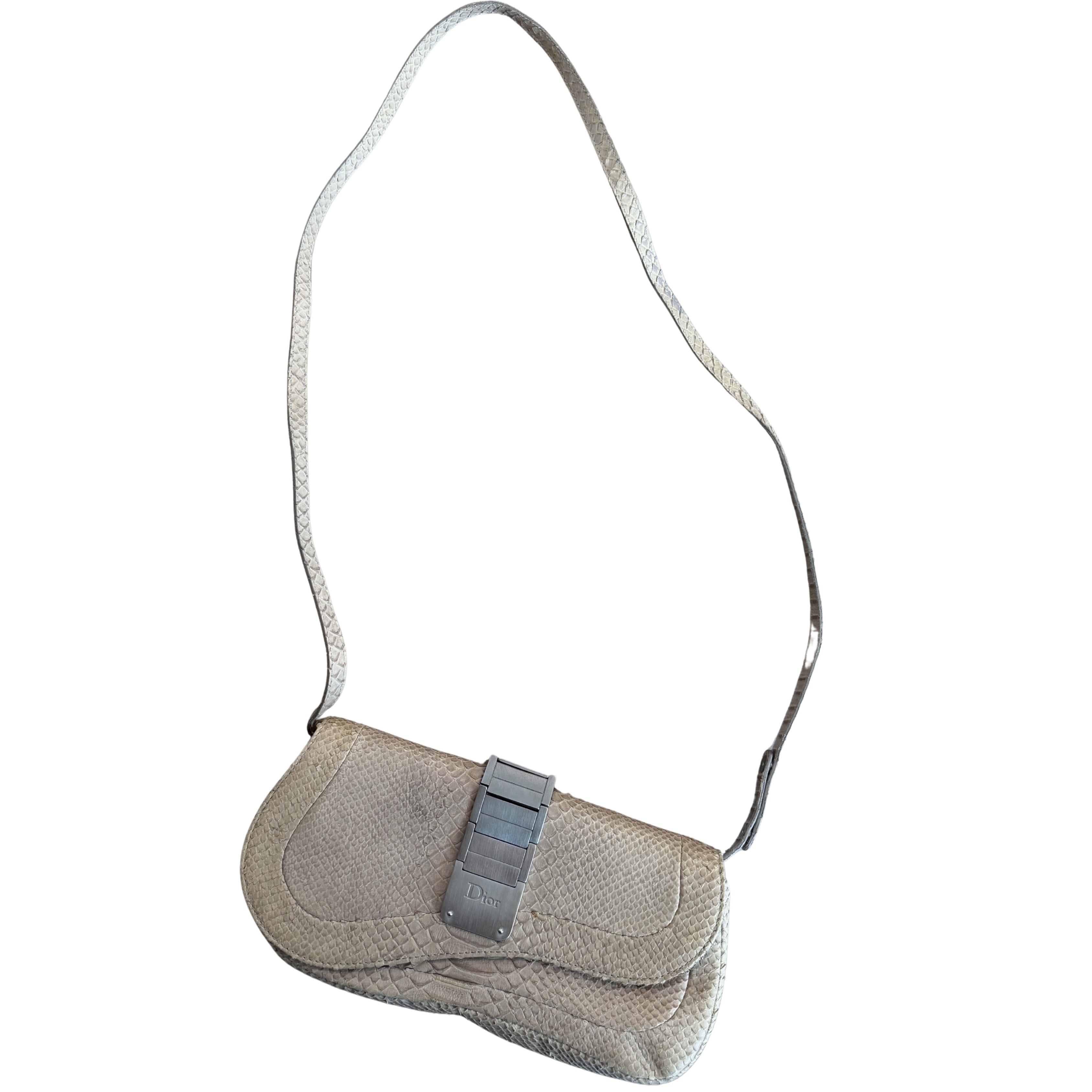 Dior Saddle Python Clutch