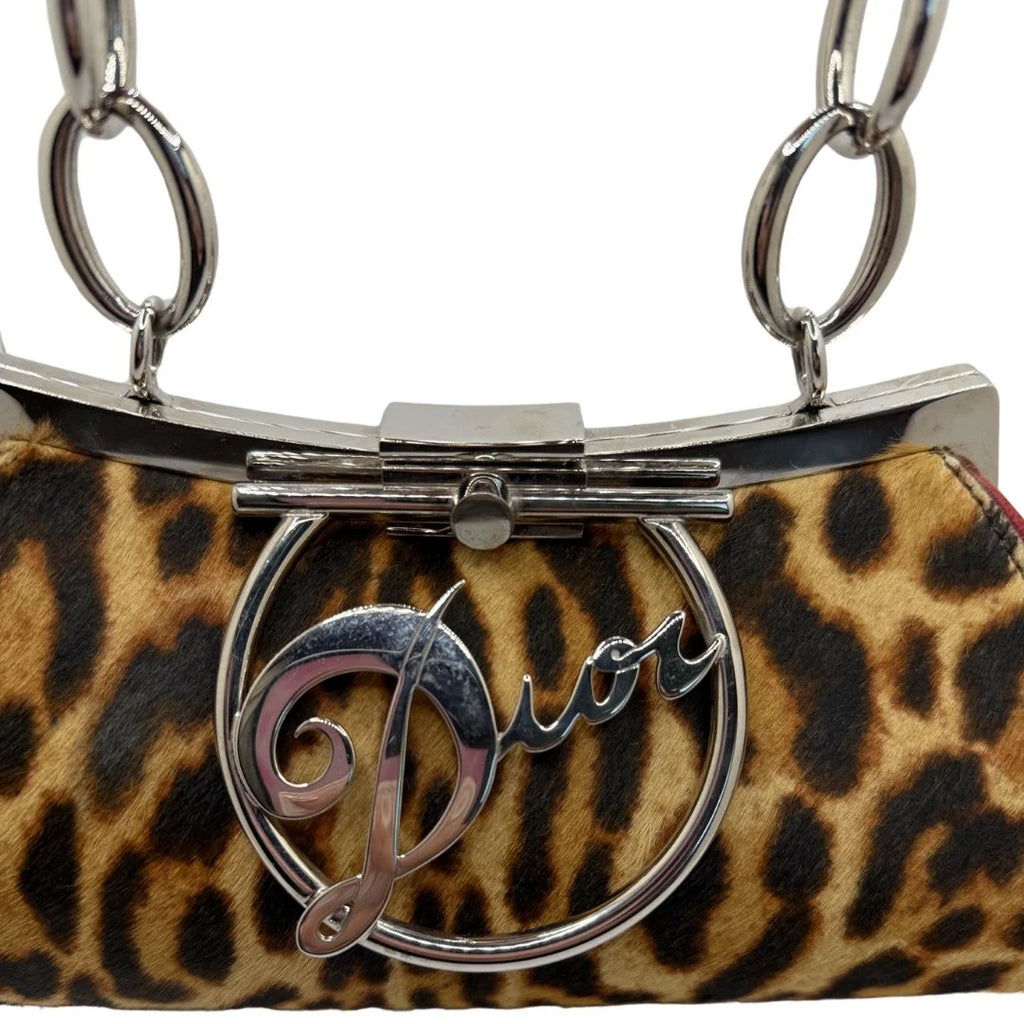 Dior Diva Leopard Bag