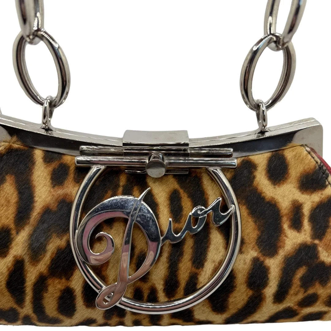 Dior Diva Leopard Bag