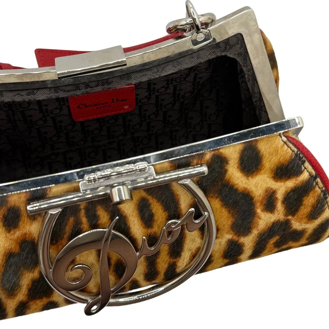 Dior Diva Leopard Bag