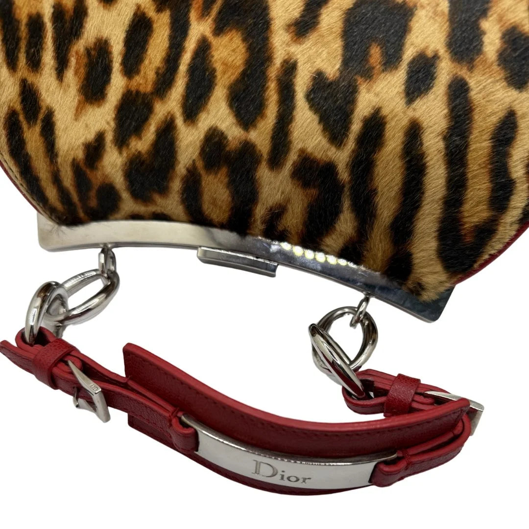 Dior Diva Leopard Bag