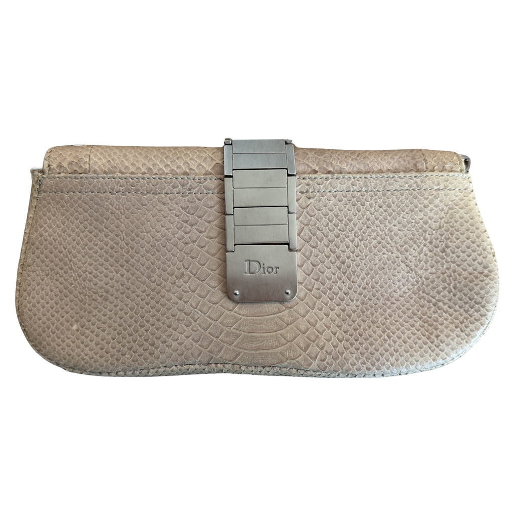 Dior Saddle Python Clutch