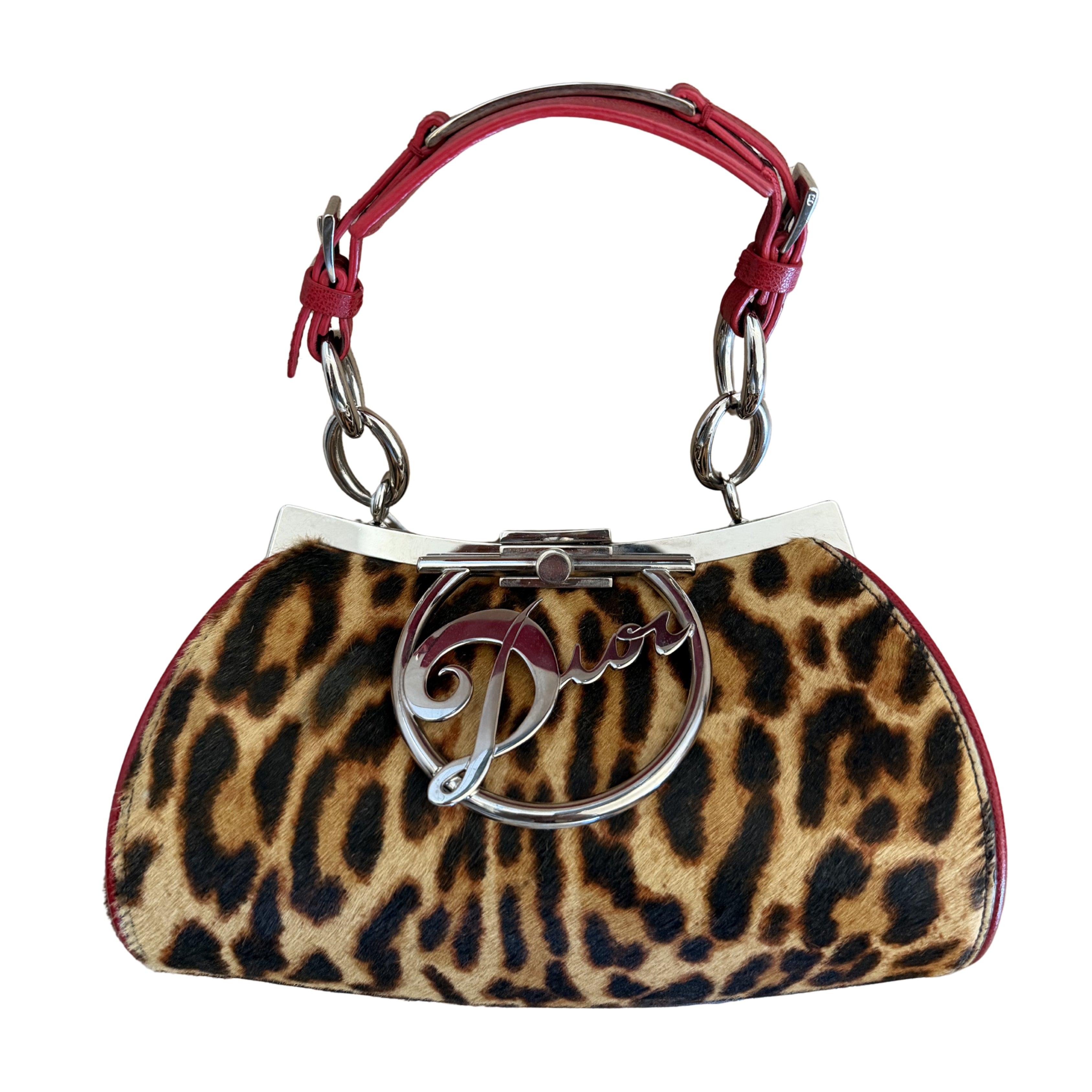 Dior Diva Leopard Bag